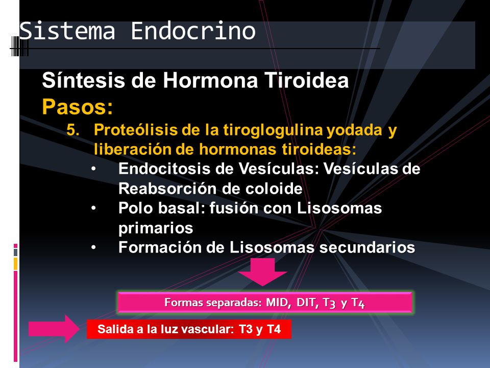 Formas separadas: MID, DIT, T3 y T4 Salida a la luz vascular: T3 y T4