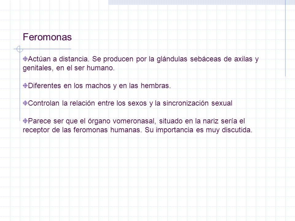 Feromonas Actúan a distancia. Se producen por la glándulas sebáceas de axilas y genitales, en el ser humano.