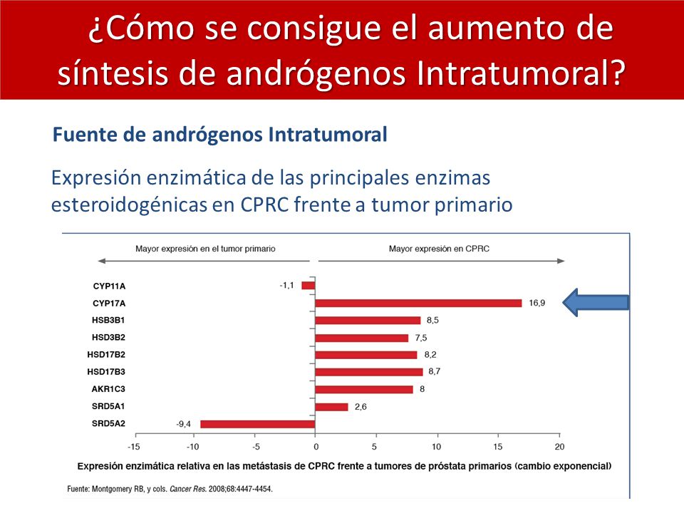 ¿Cómo se consigue el aumento de síntesis de andrógenos Intratumoral