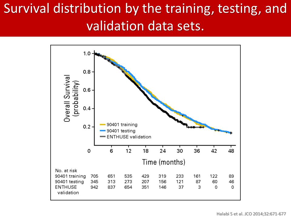 Survival distribution by the training, testing, and validation data sets.