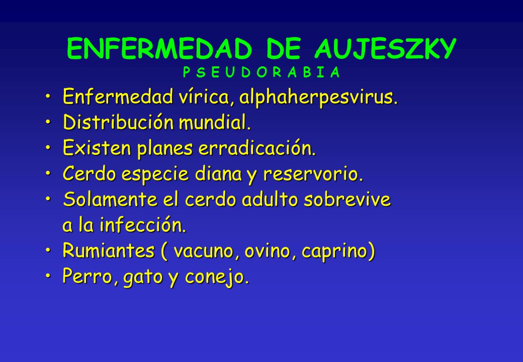 ENFERMEDAD DE AUJESZKY P S E U D O R A B I A