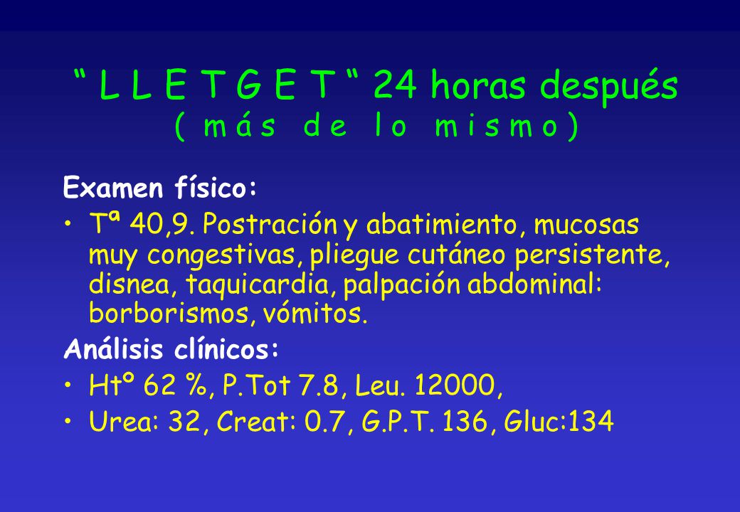 L L E T G E T 24 horas después ( m á s d e l o m i s m o )