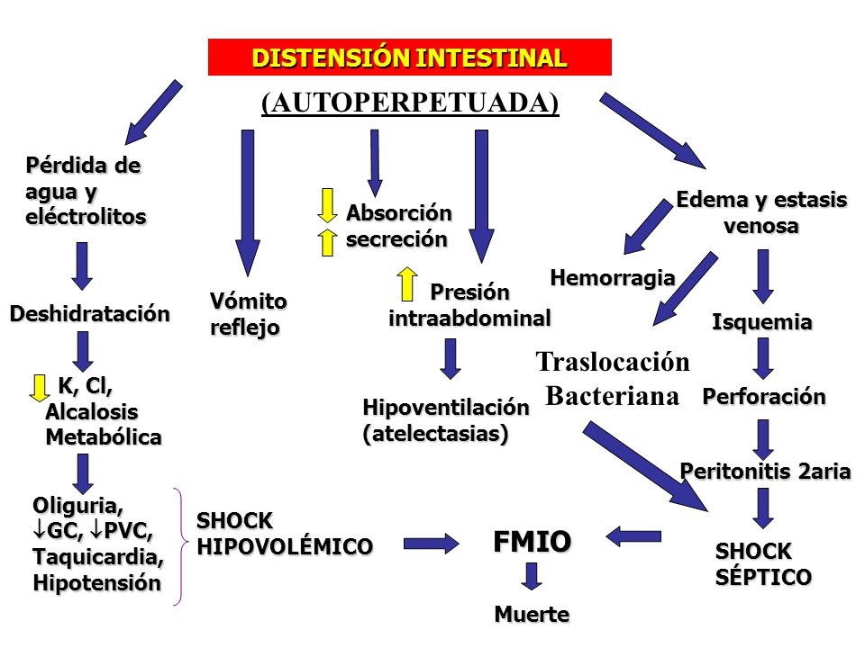 DISTENSIÓN INTESTINAL Presión intraabdominal Traslocación Bacteriana.