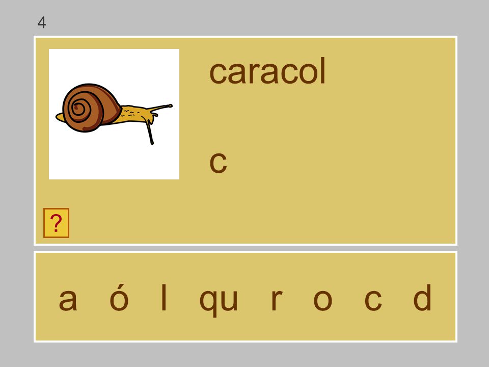 4 caracol c a ó l qu r o c d