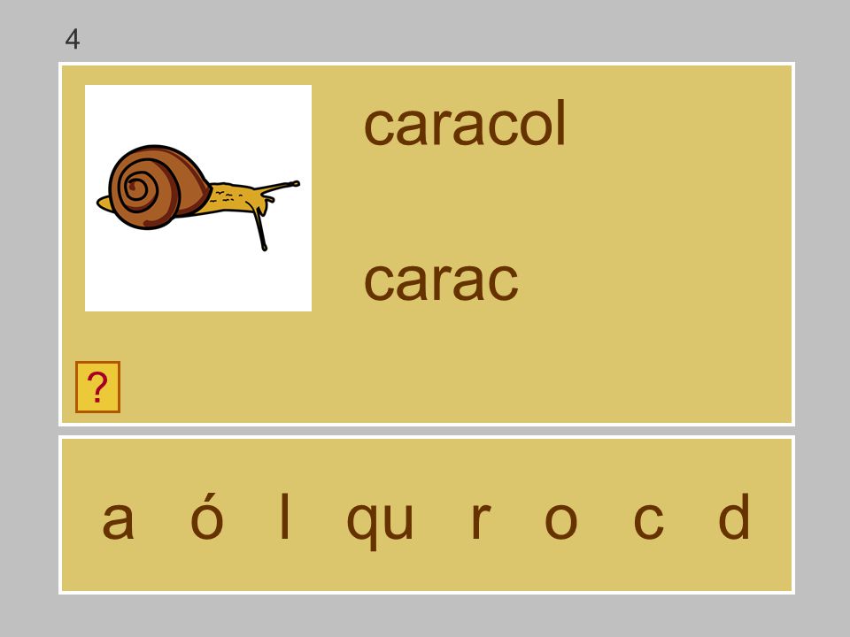 4 caracol carac a ó l qu r o c d