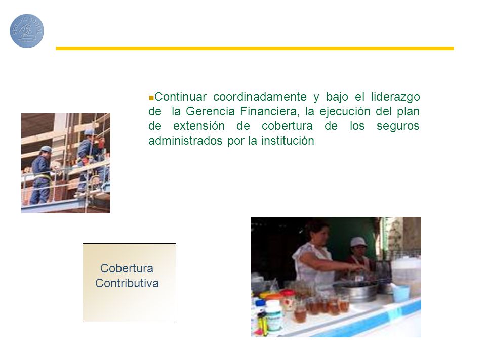 Continuar coordinadamente y bajo el liderazgo de la Gerencia Financiera, la ejecución del plan de extensión de cobertura de los seguros administrados por la institución