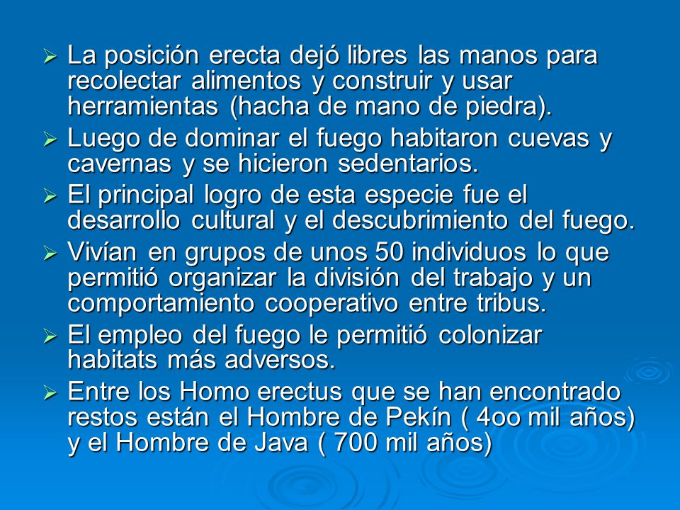 La posición erecta dejó libres las manos para recolectar alimentos y construir y usar herramientas (hacha de mano de piedra).