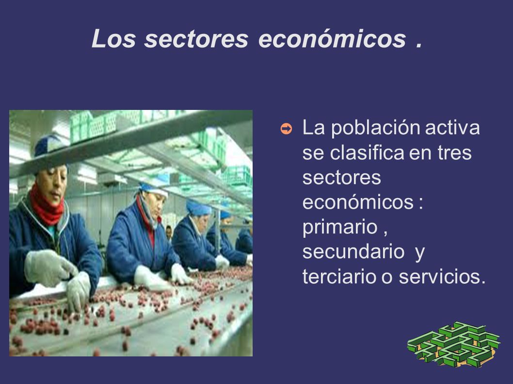 Los sectores económicos .