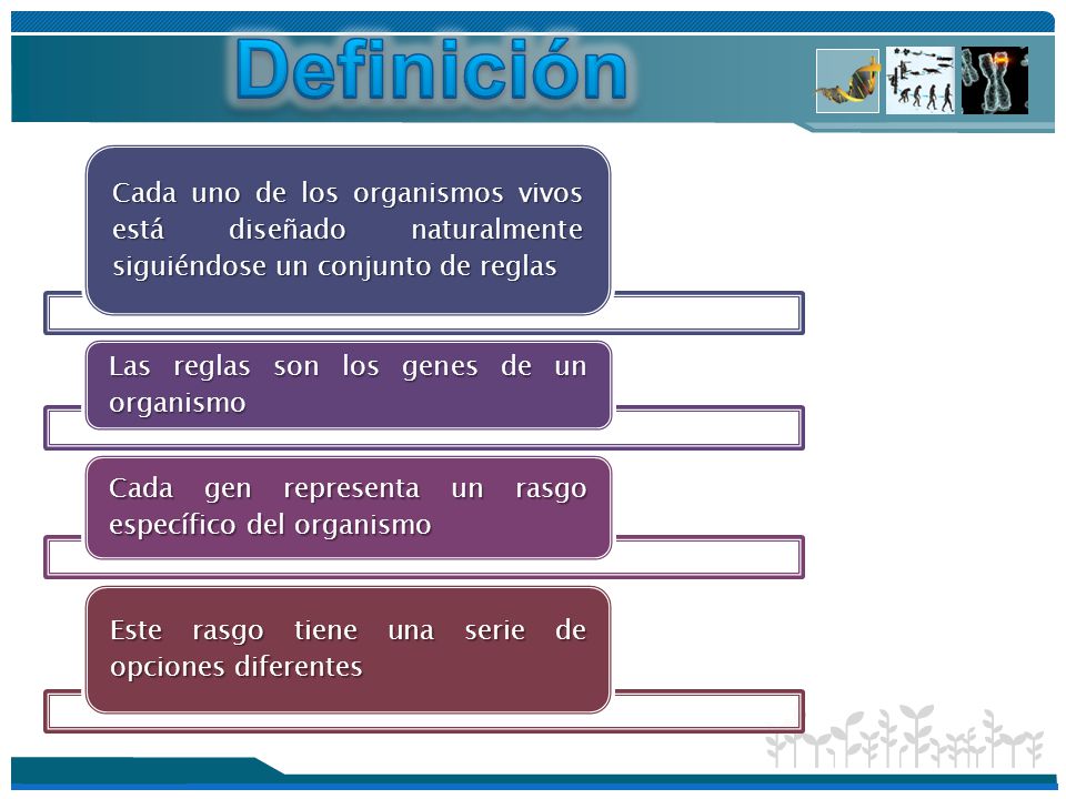 Definición Cada uno de los organismos vivos está diseñado naturalmente siguiéndose un conjunto de reglas.