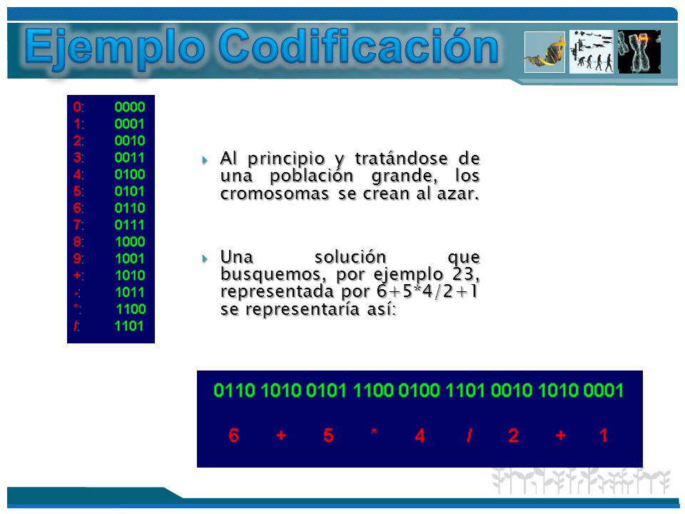 Ejemplo Codificación Al principio y tratándose de una población grande, los cromosomas se crean al azar.