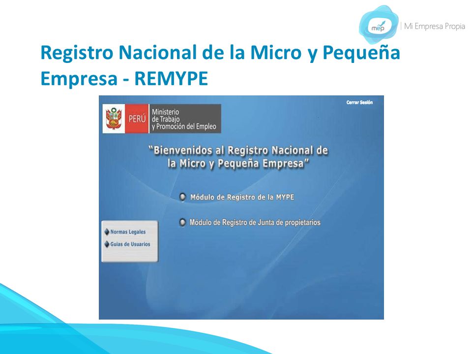 Registro Nacional de la Micro y Pequeña Empresa - REMYPE