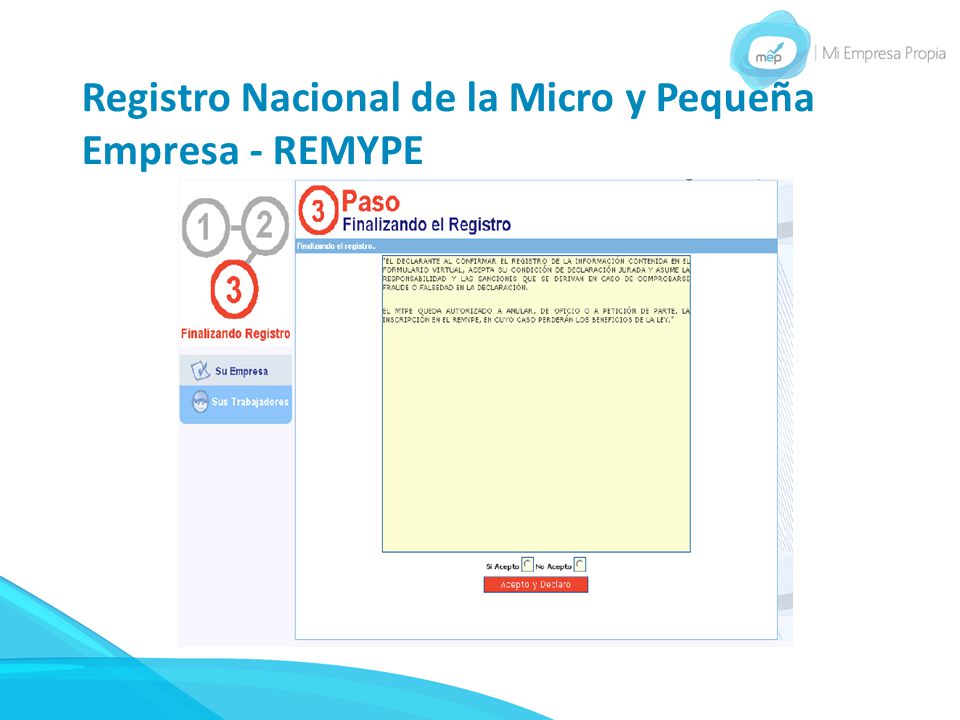 Registro Nacional de la Micro y Pequeña Empresa - REMYPE