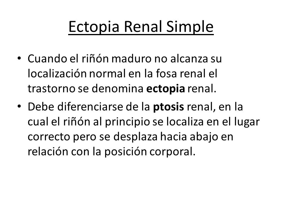 Ectopia Renal Simple Cuando el riñón maduro no alcanza su localización normal en la fosa renal el trastorno se denomina ectopia renal.