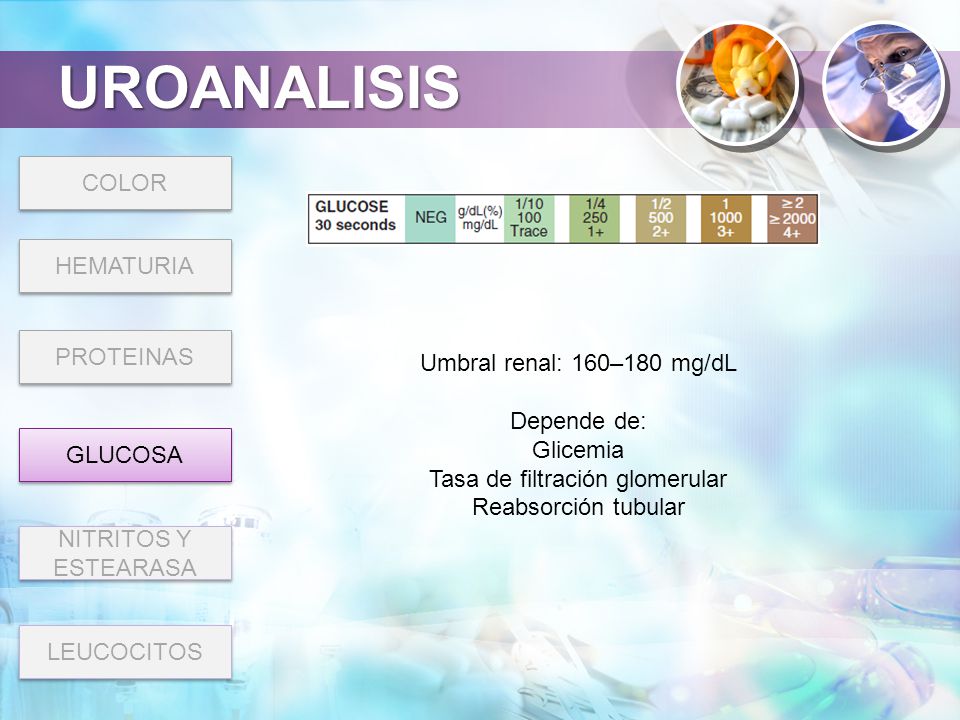 Tasa de filtración glomerular