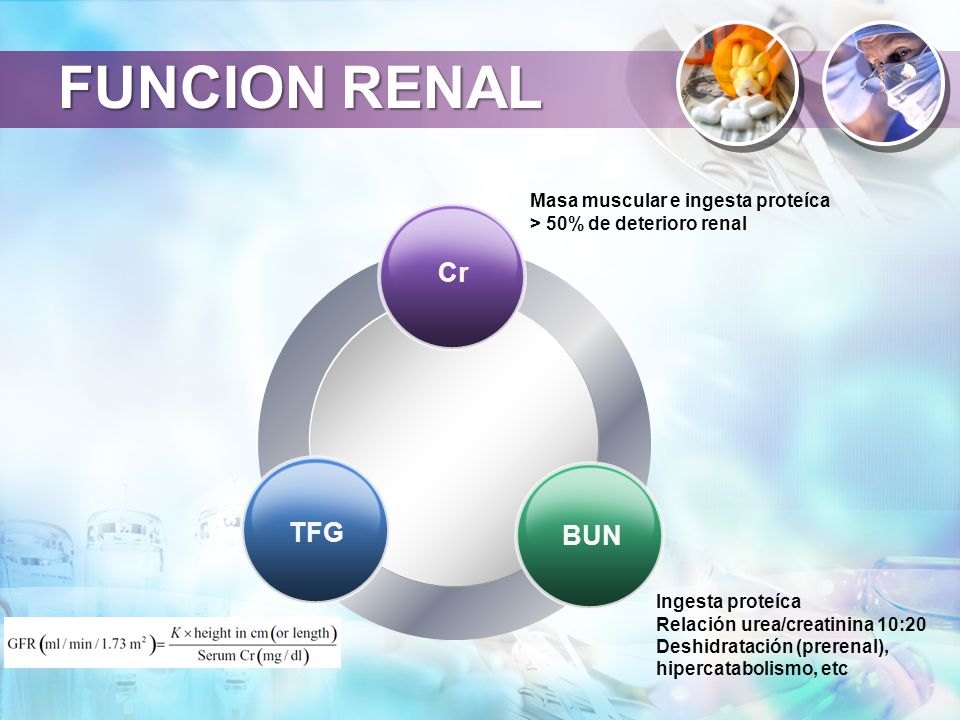 FUNCION RENAL Cr TFG BUN Masa muscular e ingesta proteíca