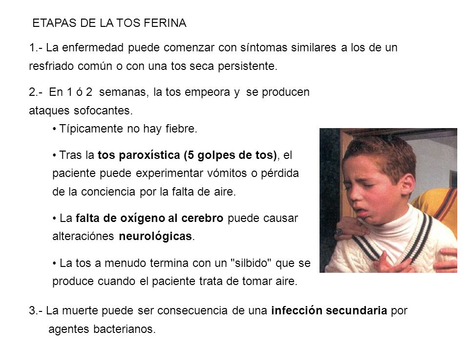 ETAPAS DE LA TOS FERINA 1.- La enfermedad puede comenzar con síntomas similares a los de un resfriado común o con una tos seca persistente.