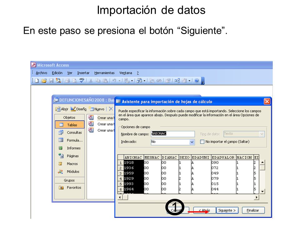Importación de datos En este paso se presiona el botón Siguiente . 1