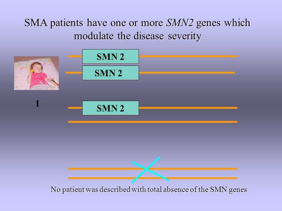 SMA patients have one or more SMN2 genes which