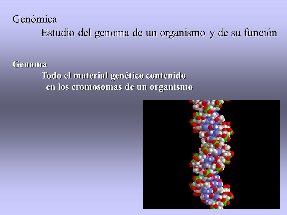 Estudio del genoma de un organismo y de su función