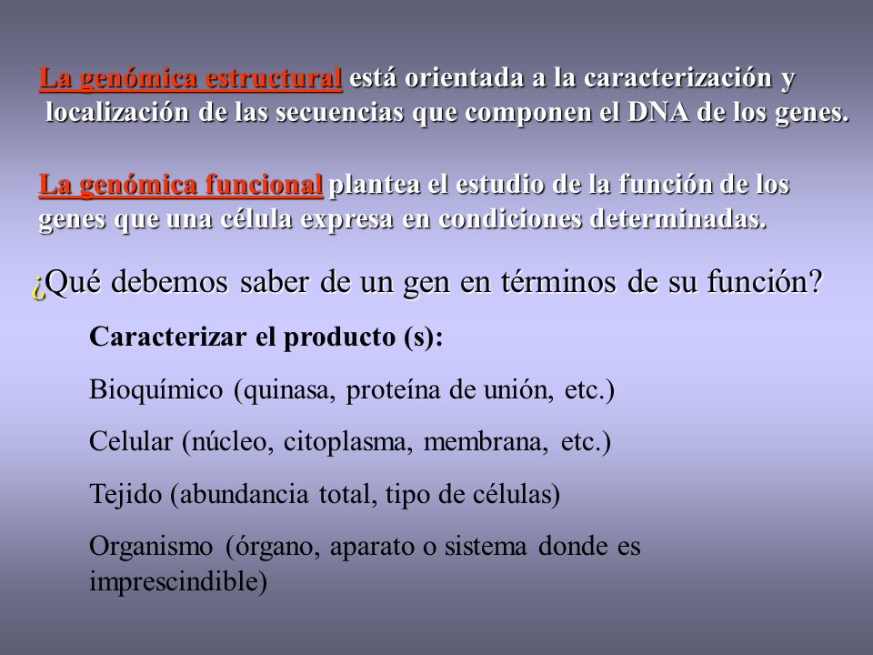 ¿Qué debemos saber de un gen en términos de su función