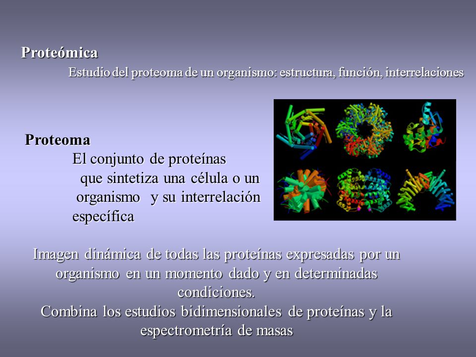 Proteómica Estudio del proteoma de un organismo: estructura, función, interrelaciones. Proteoma. El conjunto de proteínas.