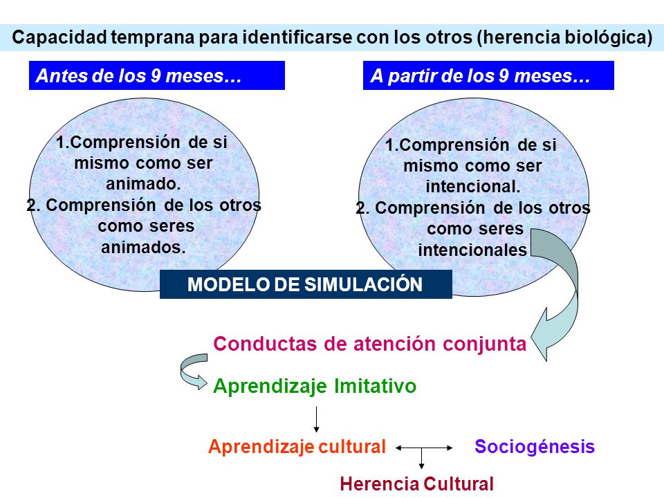 2. Comprensión de los otros 2. Comprensión de los otros
