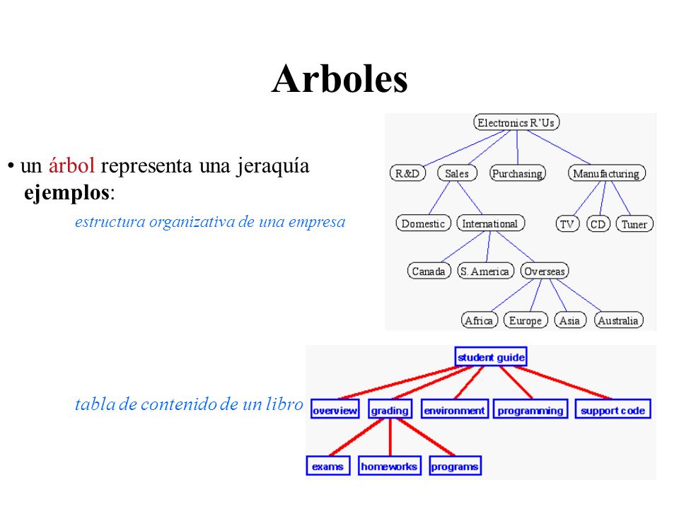 Arboles un árbol representa una jeraquía ejemplos: