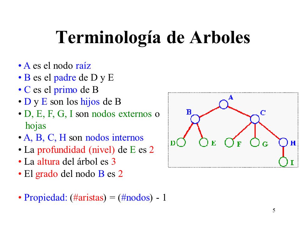 Terminología de Arboles