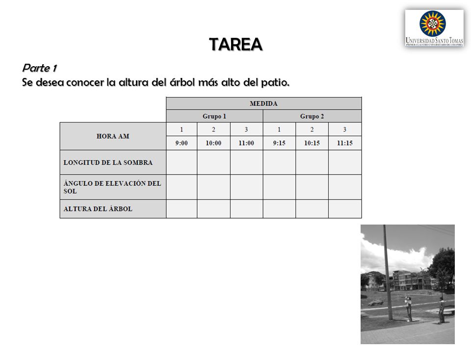 TAREA Parte 1 Se desea conocer la altura del árbol más alto del patio.