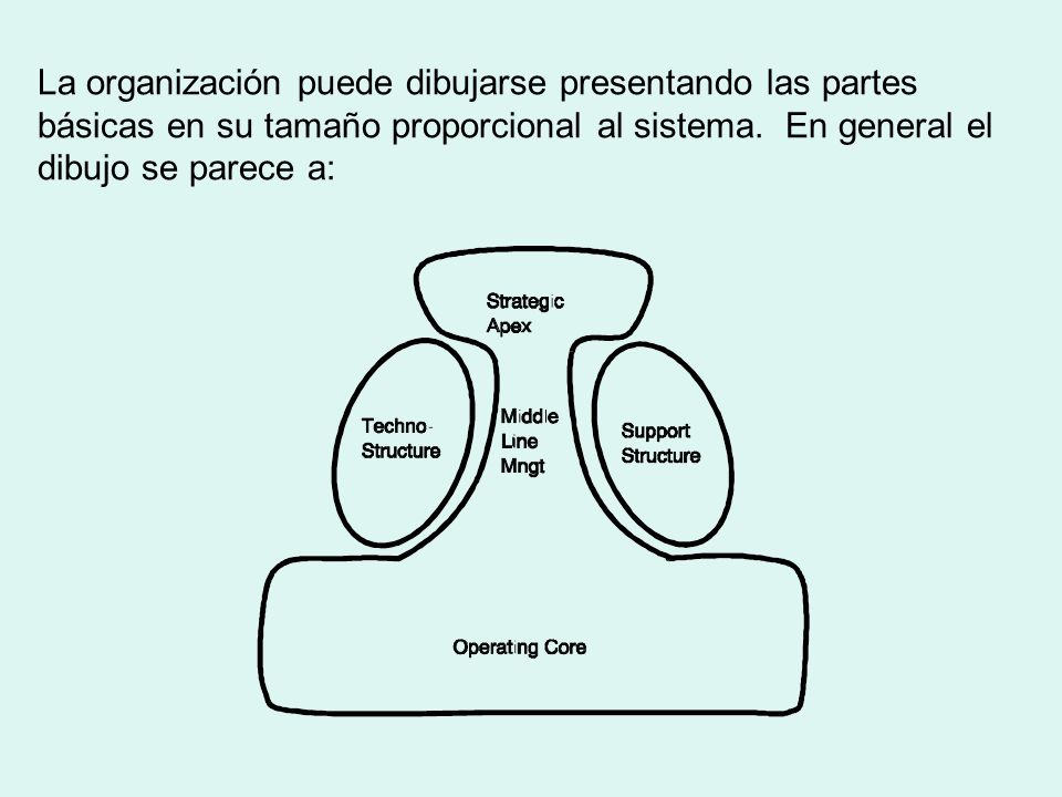 La organización puede dibujarse presentando las partes básicas en su tamaño proporcional al sistema.