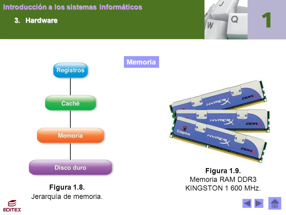 3. Hardware Memoria. Figura 1.9. Memoria RAM DDR3.