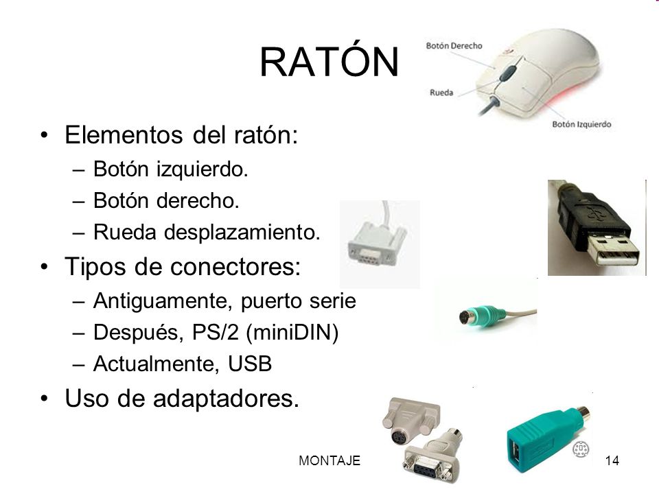 RATÓN Elementos del ratón: Tipos de conectores: Uso de adaptadores.
