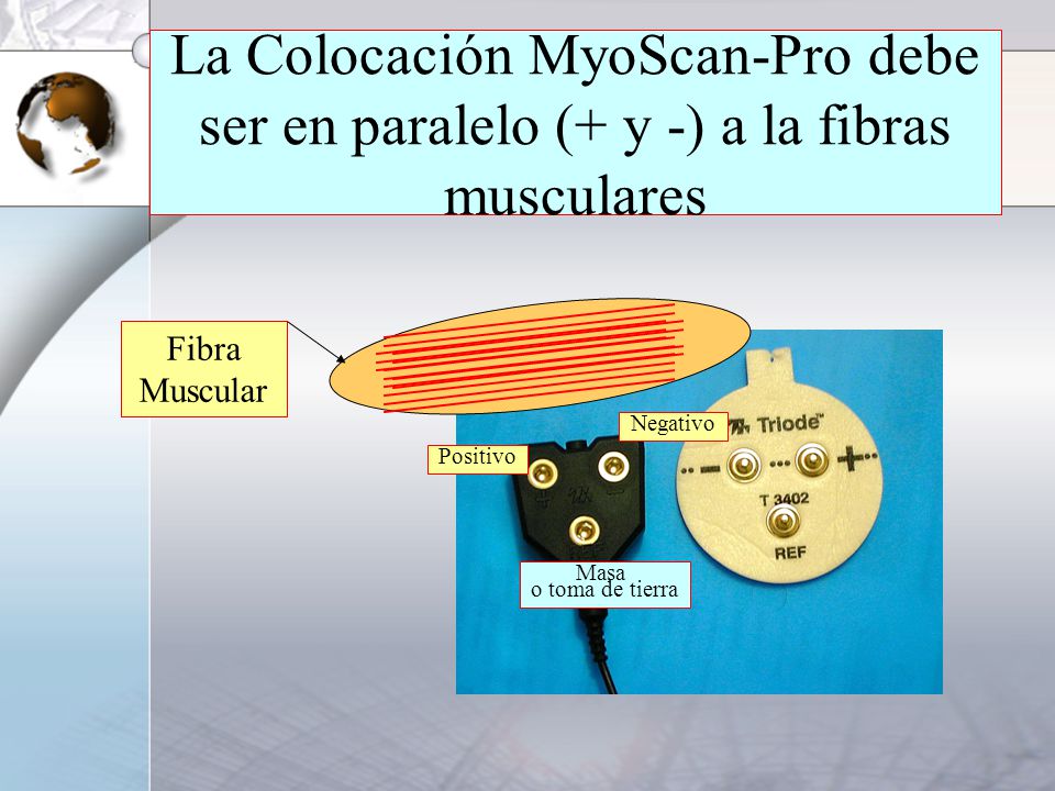 La Colocación MyoScan-Pro debe ser en paralelo (+ y -) a la fibras musculares
