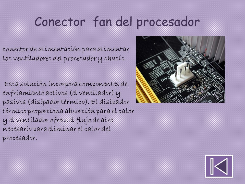 Conector fan del procesador