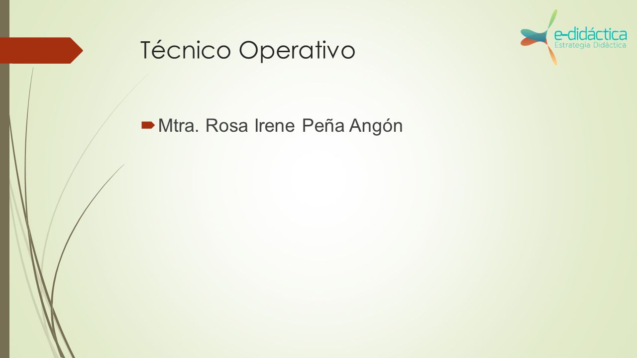 Técnico Operativo Mtra. Rosa Irene Peña Angón