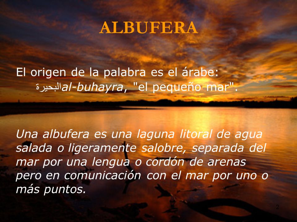 ALBUFERA El origen de la palabra es el árabe:
