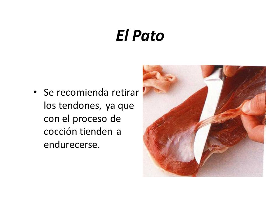 El Pato Se recomienda retirar los tendones, ya que con el proceso de cocción tienden a endurecerse.