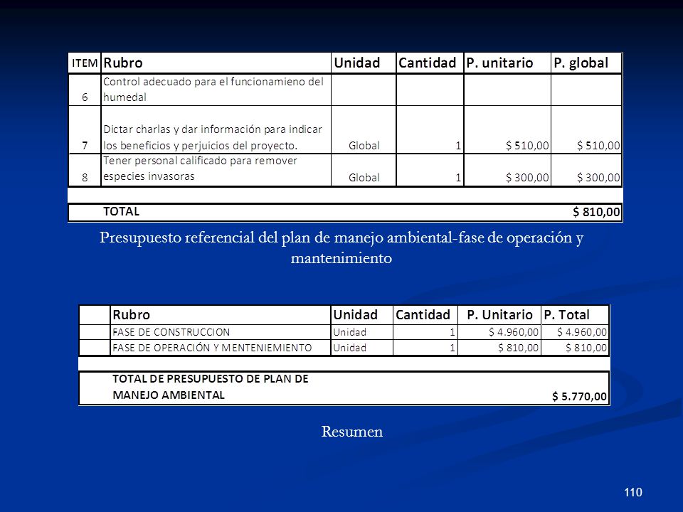 Presupuesto referencial del plan de manejo ambiental-fase de operación y mantenimiento
