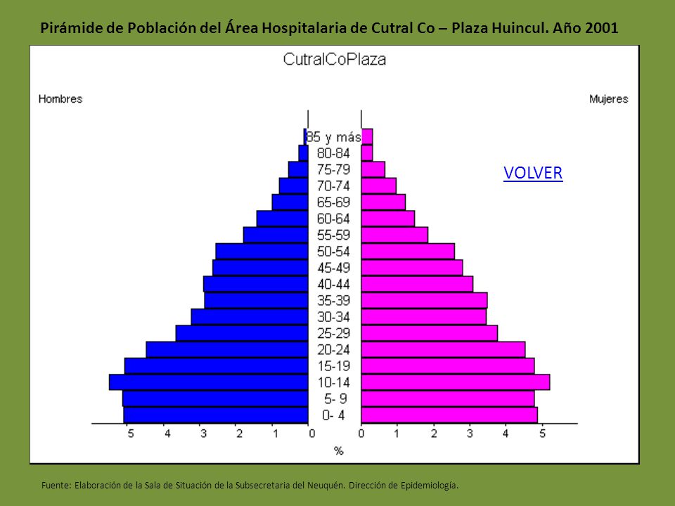 Pirámide de Población del Área Hospitalaria de Cutral Co – Plaza Huincul. Año 2001