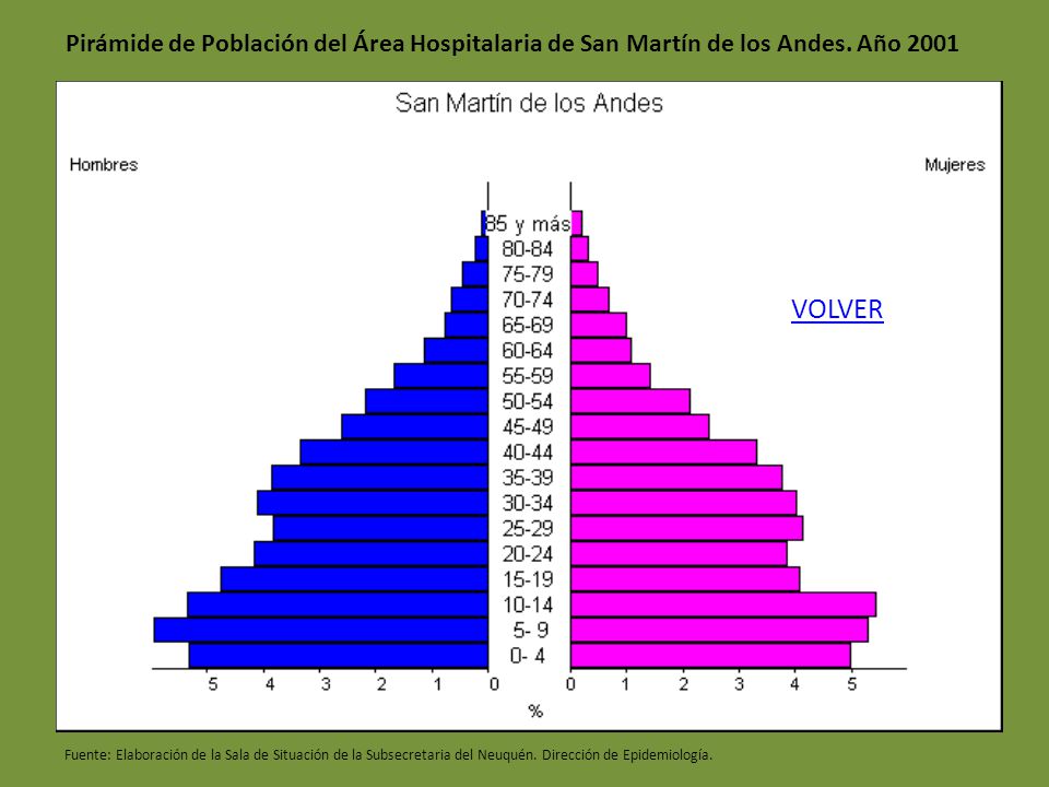 Pirámide de Población del Área Hospitalaria de San Martín de los Andes