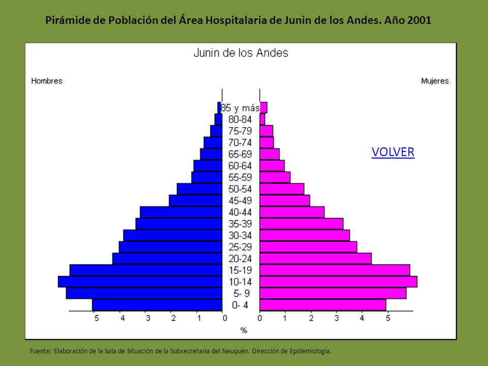 Pirámide de Población del Área Hospitalaria de Junin de los Andes