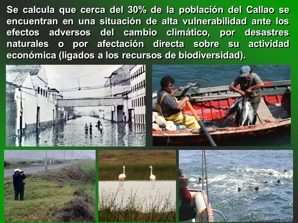 Se calcula que cerca del 30% de la población del Callao se encuentran en una situación de alta vulnerabilidad ante los efectos adversos del cambio climático, por desastres naturales o por afectación directa sobre su actividad económica (ligados a los recursos de biodiversidad).