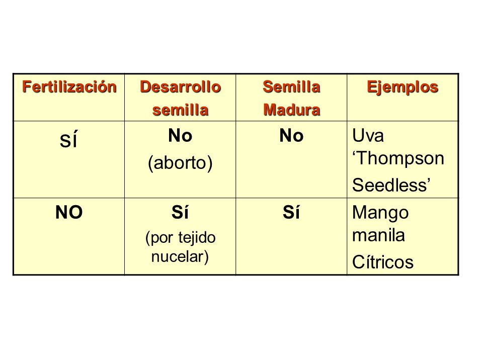sí No (aborto) Uva ‘Thompson Seedless’ NO Sí Mango manila Cítricos