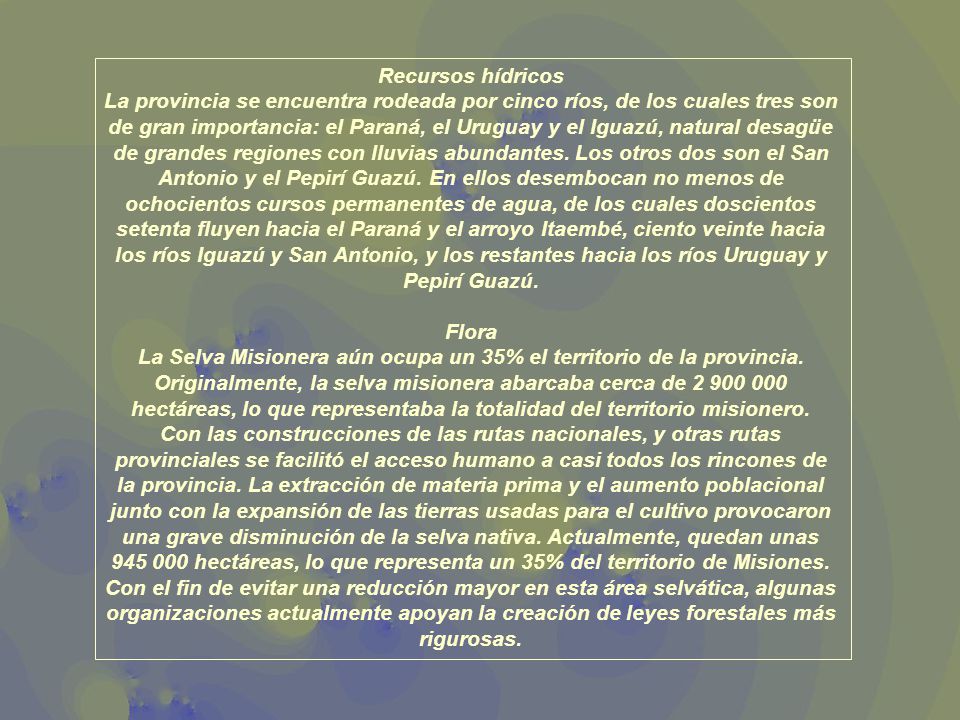 La Selva Misionera aún ocupa un 35% el territorio de la provincia.
