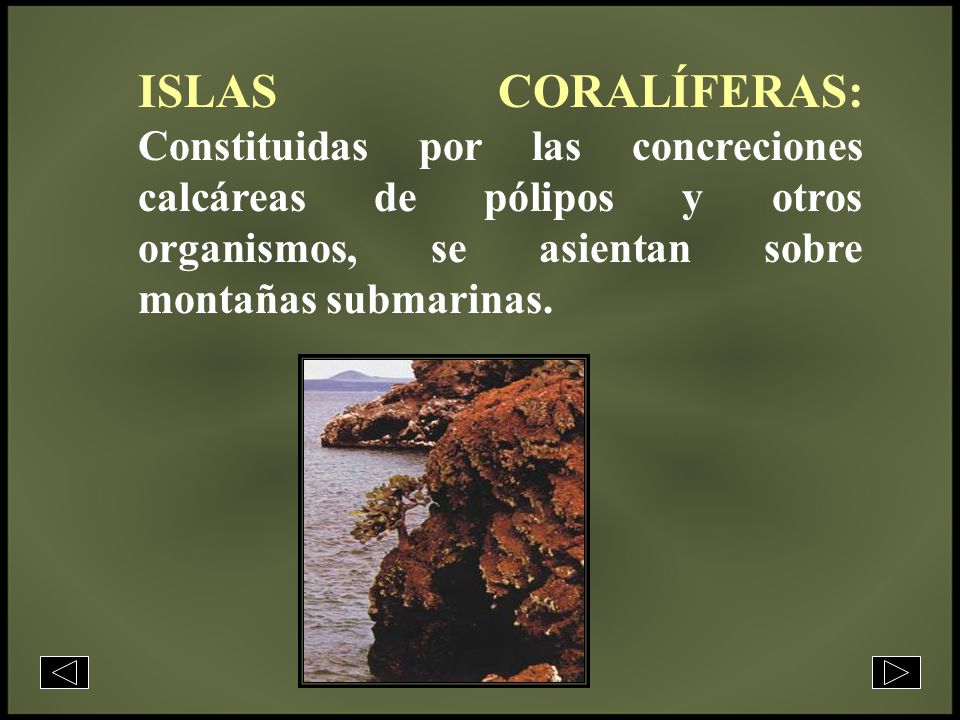 ISLAS CORALÍFERAS: Constituidas por las concreciones calcáreas de pólipos y otros organismos, se asientan sobre montañas submarinas.