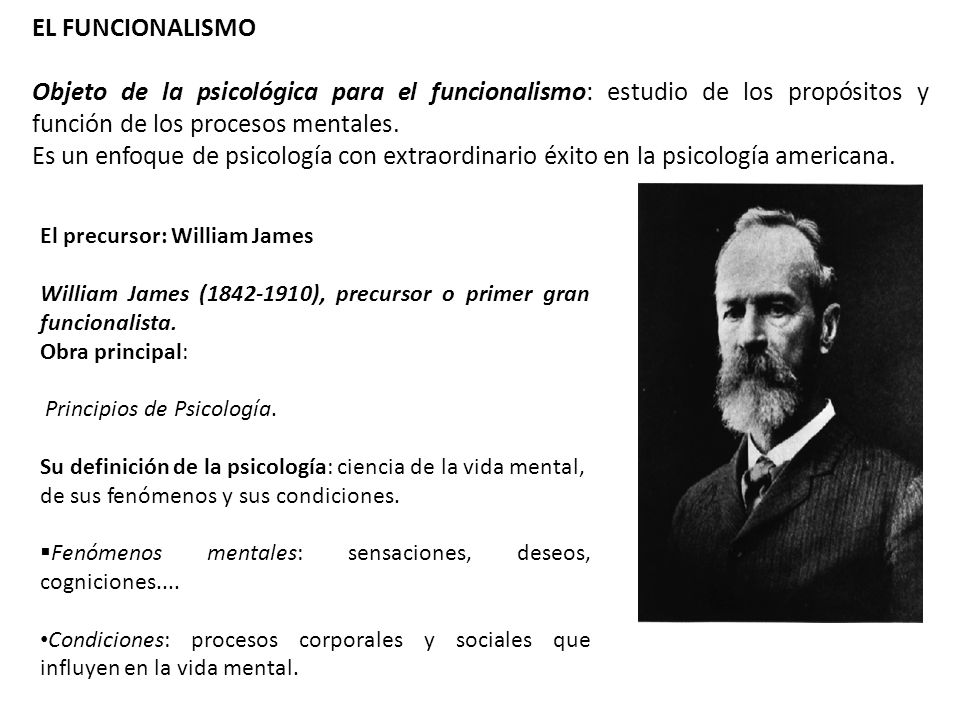 EL FUNCIONALISMO Objeto de la psicológica para el funcionalismo: estudio de los propósitos y función de los procesos mentales.