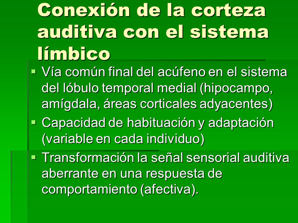 Conexión de la corteza auditiva con el sistema límbico