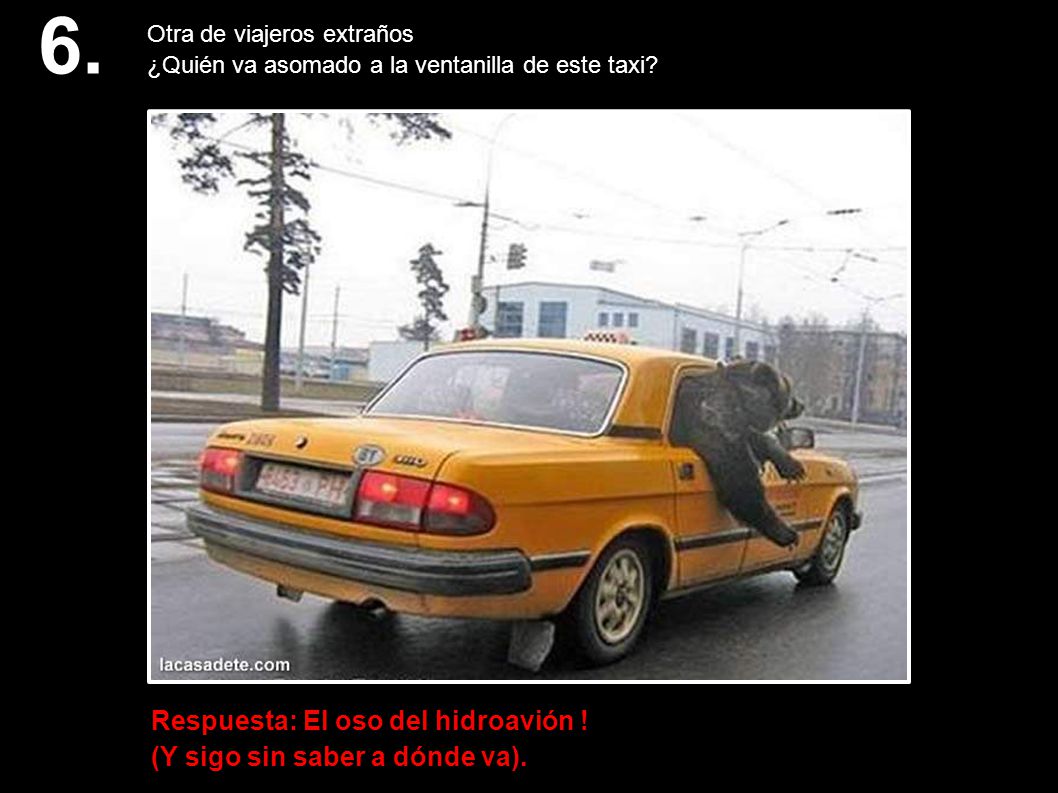 6. Respuesta: El oso del hidroavión ! (Y sigo sin saber a dónde va)‏.