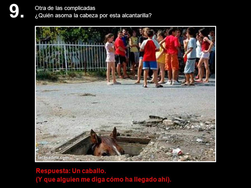 9. Otra de las complicadas. ¿Quién asoma la cabeza por esta alcantarilla.