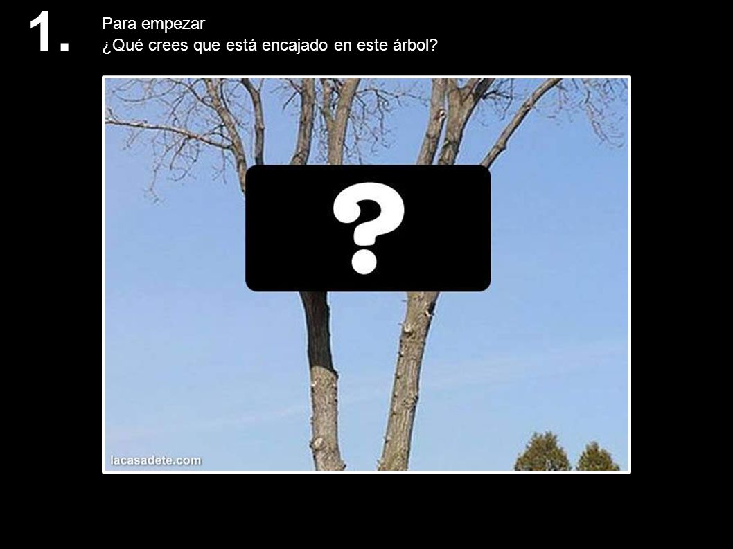 1. Para empezar ¿Qué crees que está encajado en este árbol